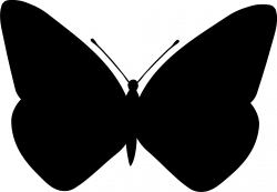 Schmetterling 017 - schönes Wandtattoo Wandaufkleber
